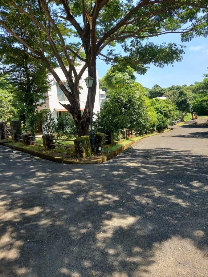 Destination A1 32 Villa Neral Exterior foto